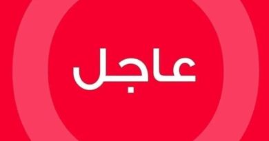 القاضي البيطار يقبل الشكوى المباشرة لزياد ريشا الذي فقد والدته في انفجار المرفأ