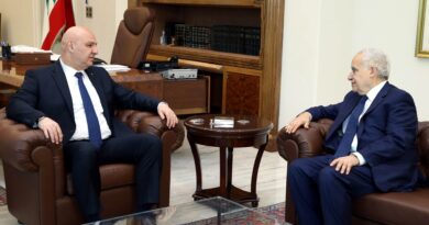 لقاءات امنية وسياسية وإدارية وثقافية في قصر بعبدا